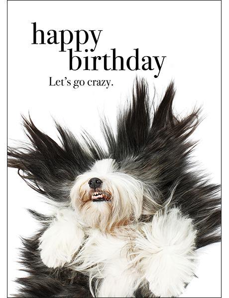 Happy Birthday Card - Tigerlily Gift Store