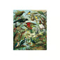 Botanical Collection Lens Cloths -Birds - Tigerlily Gift Store