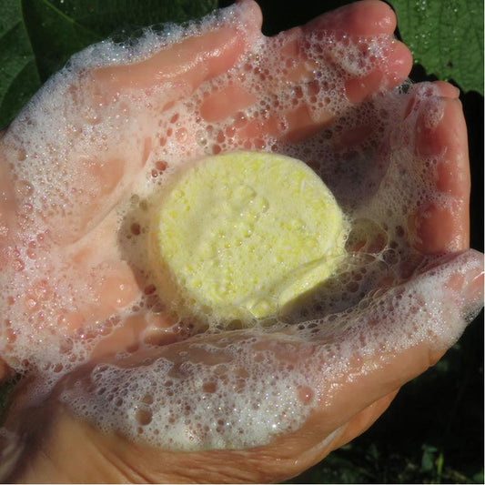 Shampoo Bar: Coromandel Lemon