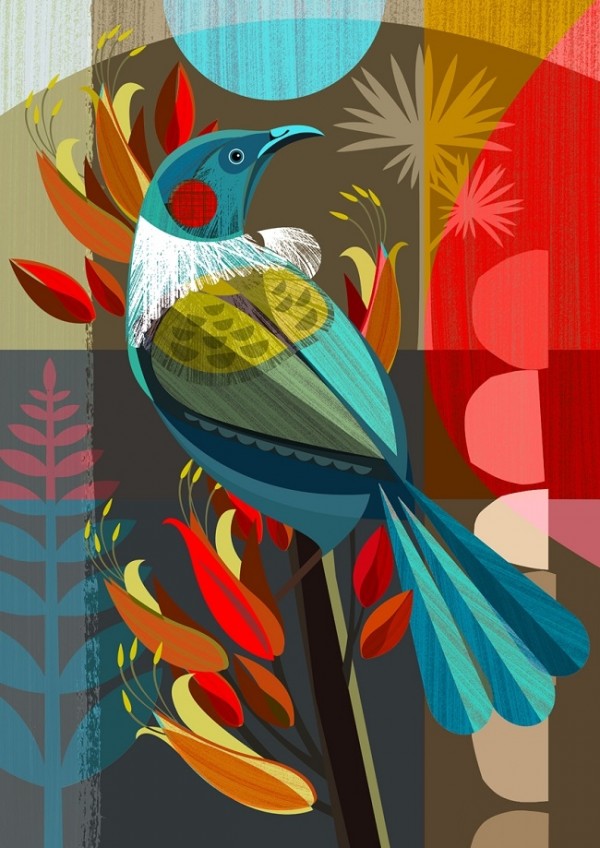New Zealand Tui In The Flax A3 Art Print