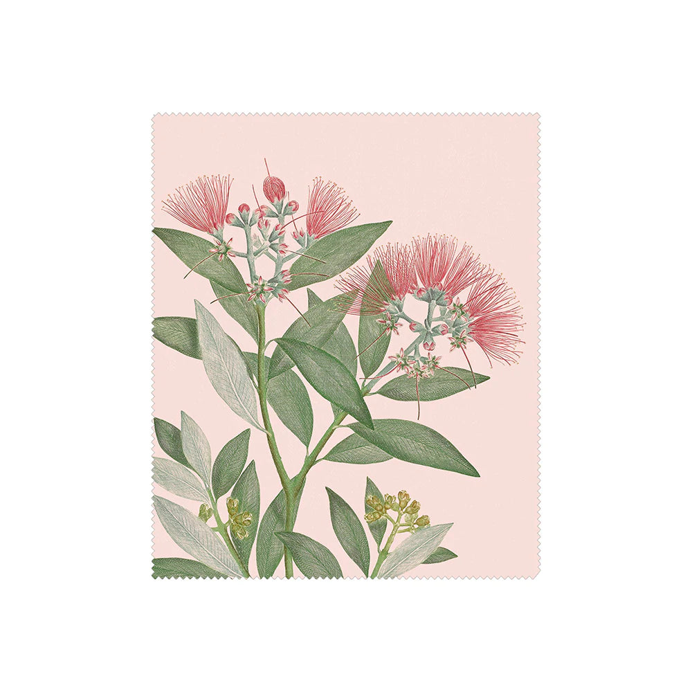 Vintage Botanical Collection Lens Cloths - Pohutukawa